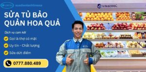 sửa tủ bảo quản hoa quả