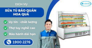 sửa tủ bảo quản hoa quả suadienlanhlimosa