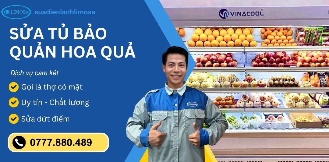 sửa tủ bảo quản hoa quả